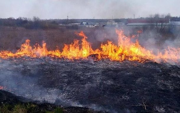 В Херсонской области горит уже 100 га леса: николаевские спасатели поехали на подмогу