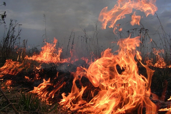 За два дня в Николаеве и области возникло 6 загораний мусора и сухой травы