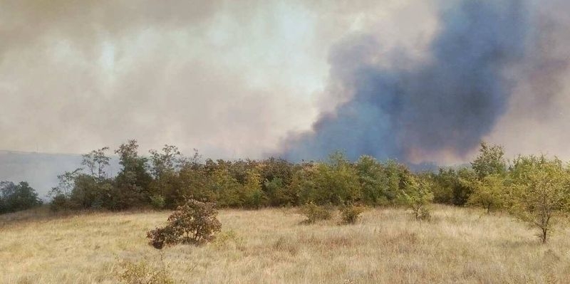 Причиной гигантских лесных пожаров в Херсонской области назвали поджоги