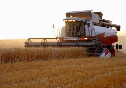 В Николаевской области намолотили 330 тысяч тонн зерна нового урожая
