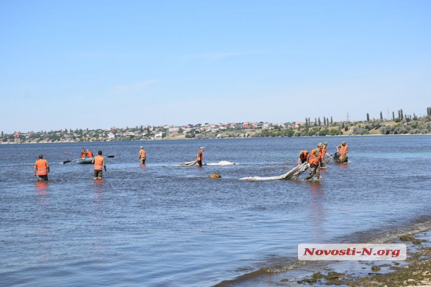 Как в Николаеве десантники отрабатывали прыжки с парашютом на воду. ФОТОРЕПОРТАЖ