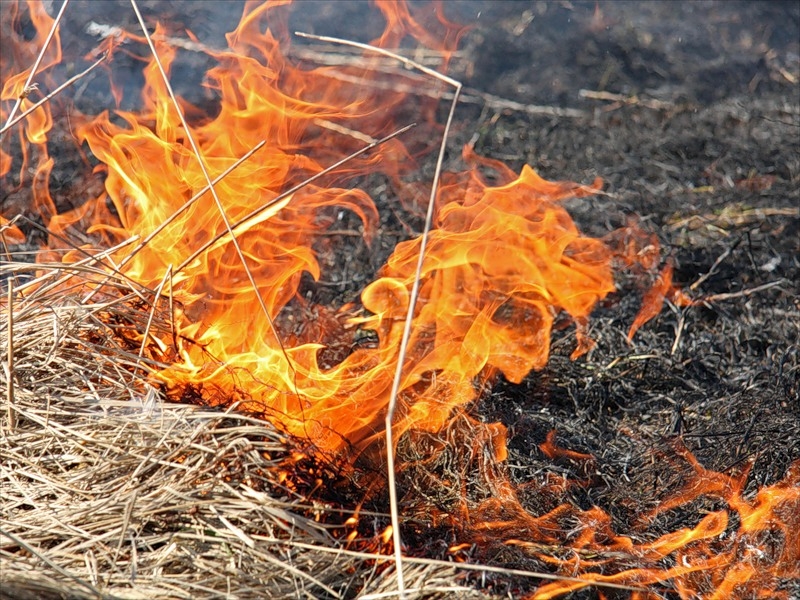 На Николаевщине домовладелец выжигал сухостой: сгорели его авто и хозпостройка