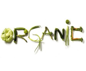 В Украине будут маркировать органическую продукцию