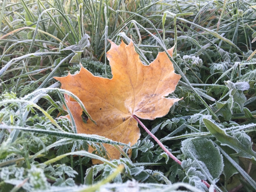 Смерчи и ранняя зима: синоптик прогнозирует аномальную погоду до конца года