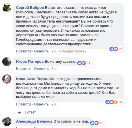 «Сеня, ты идиот»: николаевцы разочаровались в мэре из-за его позиции по бездомным животным 