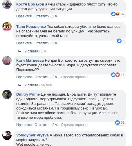 «Сеня, ты идиот»: николаевцы разочаровались в мэре из-за его позиции по бездомным животным 