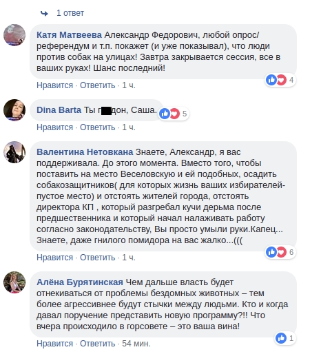 «Сеня, ты идиот»: николаевцы разочаровались в мэре из-за его позиции по бездомным животным 