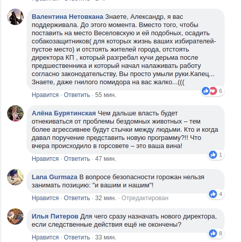 «Сеня, ты идиот»: николаевцы разочаровались в мэре из-за его позиции по бездомным животным 