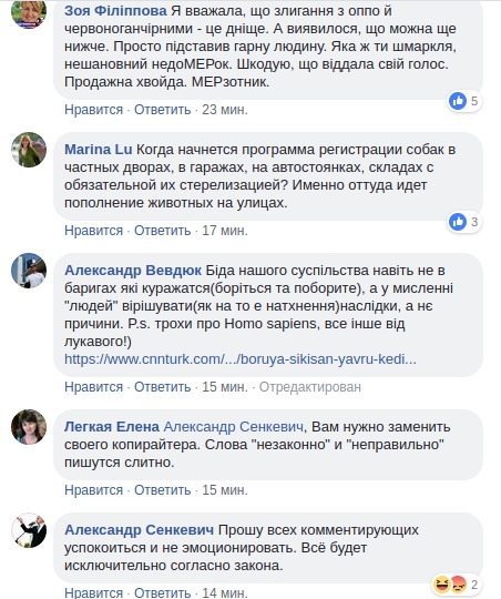 «Сеня, ты идиот»: николаевцы разочаровались в мэре из-за его позиции по бездомным животным 