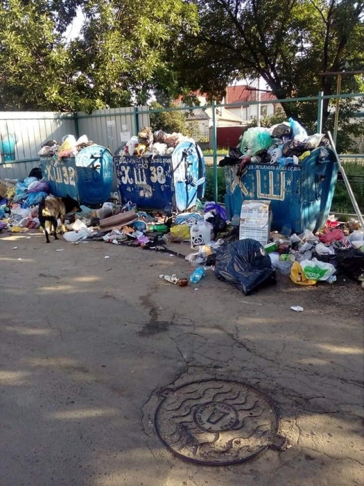 В Николаеве Херсонское шоссе утопает в мусоре