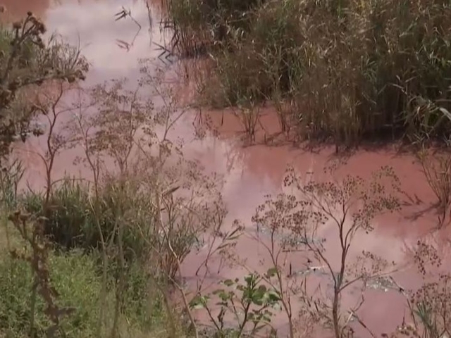 На Николаевщине вода в реке стала розовой. ВИДЕО