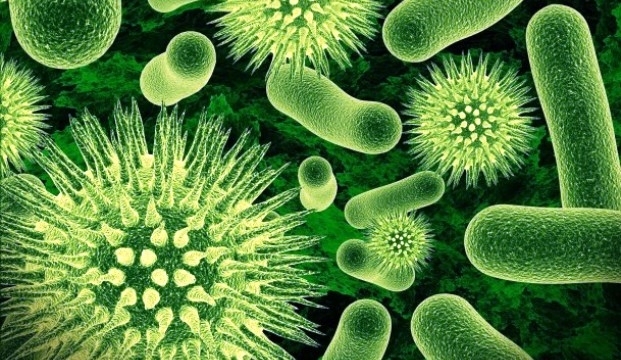 Ученые обнаружили опасные бактерии, на которые не действуют антибиотики