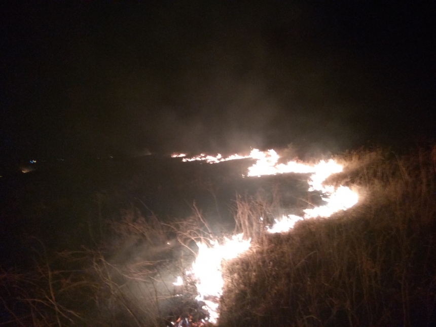 За сутки на Николаевщине горела трава и мусор на площади более 17 га