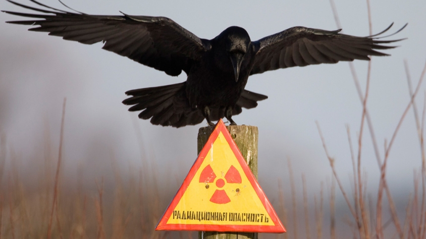 НАТО поучаствует в ликвидации радиоактивного могильника в Украине