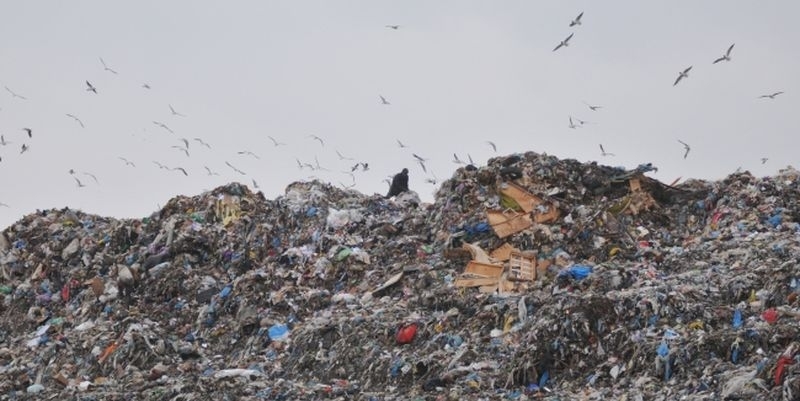 В Николаевской области накопилось по 40 тонн мусор на каждого жителя