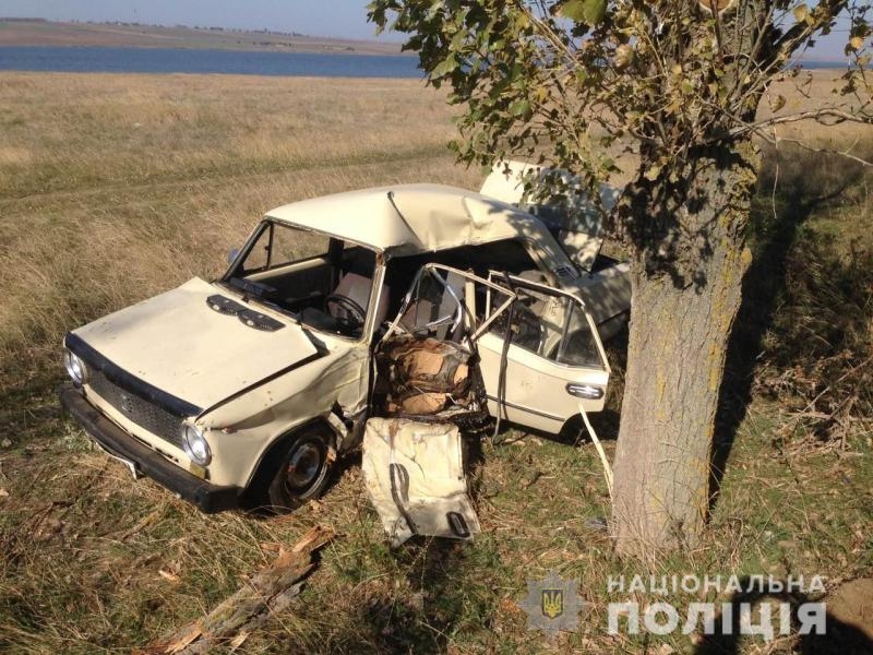 В Одесской области «копейка» врезалась в дерево - водитель погиб