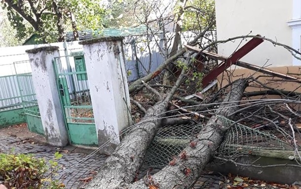 В Ужгороде ураган повалил деревья и повредил дома. ФОТО