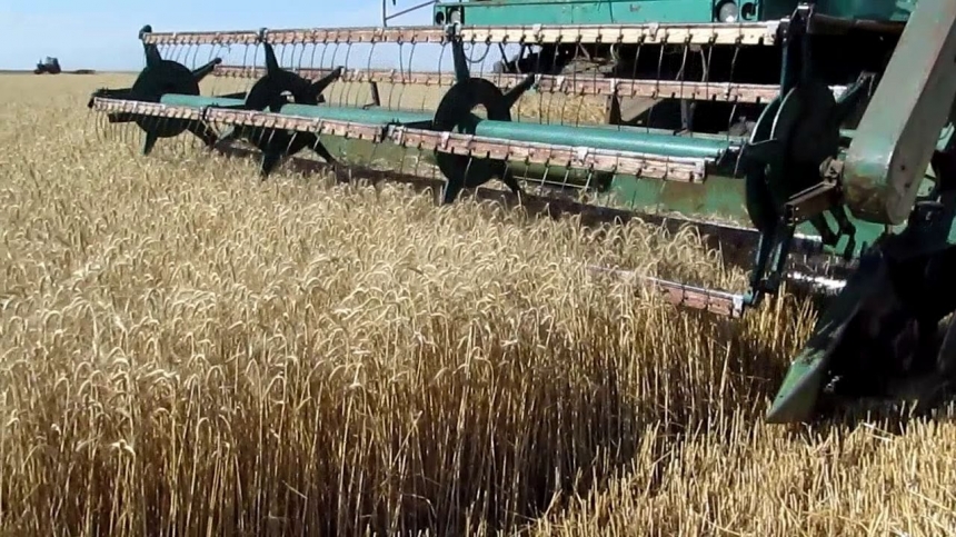 На Николаевщине на 4% уменьшилось количество собранных зерновых культур