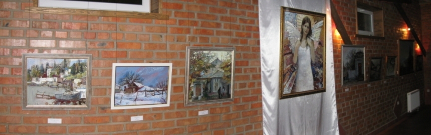 В прошлом году в музеях Николаевской области открылась 141 выставка