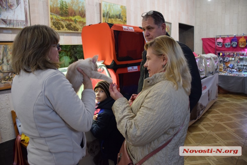 В Николаеве стартовал фестиваль кошек