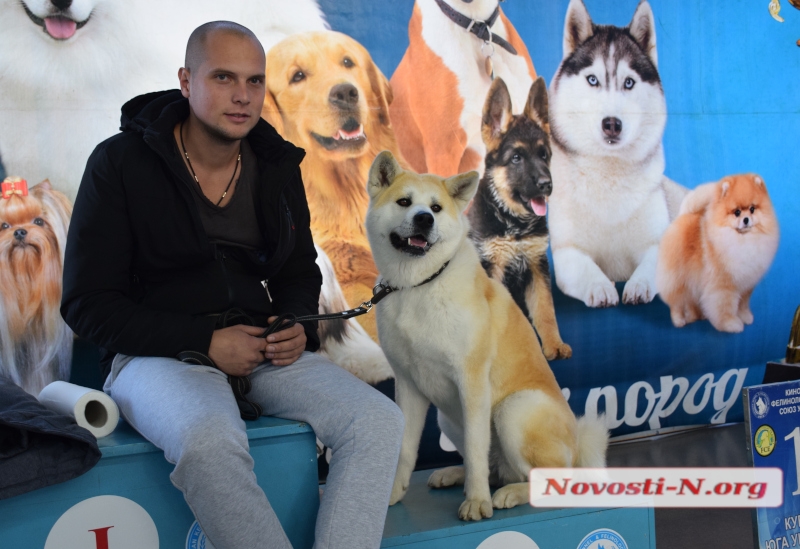 От мала до велика: в Николаеве собак собрали на международной выставке. ФОТОРЕПОРТАЖ