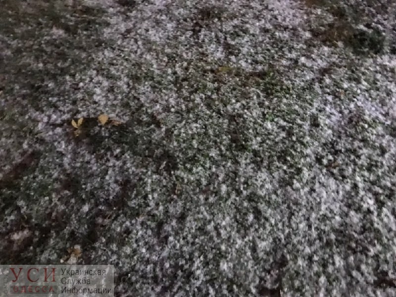 В Одессе начался сильный снегопад. ФОТО