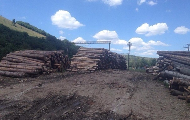 Озвучены масштабы вывоза леса из Украины