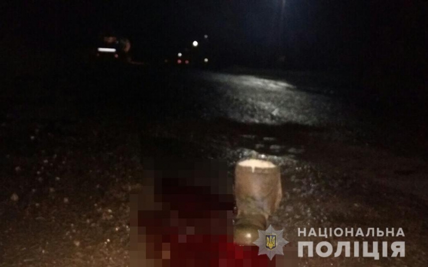 В Запорожской области двое детей попали под машину, один из них погиб