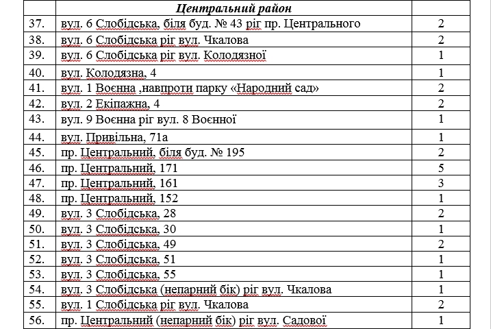 От продажи елок город должен зарабатывать, - члены исполкома утвердили перечень мест