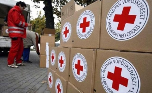 Красный Крест направил в "ДНР" 154 тонны гумпомощи