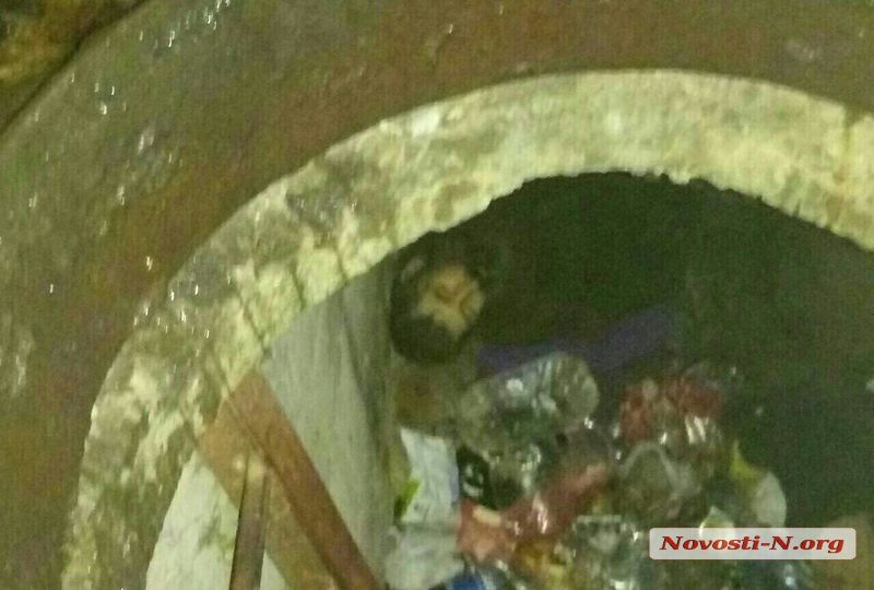 В канализационном колодце в центре Николаева обнаружен мужской труп