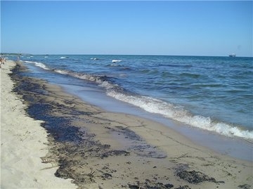 Ущерб от разлива нефтепродуктов у побережья Одессы оценили в 300 тысяч долларов. Капитан судна выплачивать штраф отказался