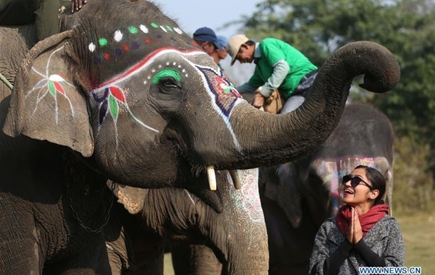 В Непале провели конкурс красоты среди слонов