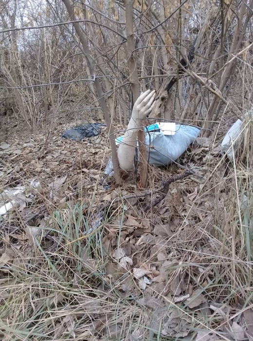 Николаевцы возмущены свалками у дачного комплекса в Матвеевке