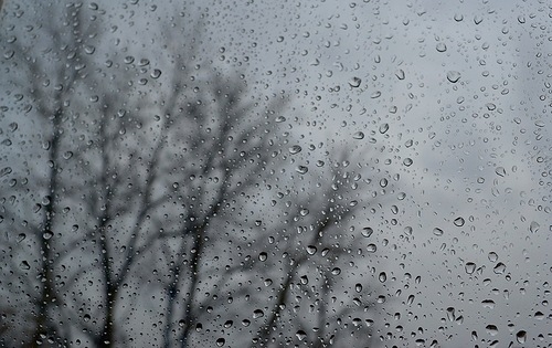 Дождь с мокрым снегом и порывы ветра: завтра в Николаеве ухудшится погода