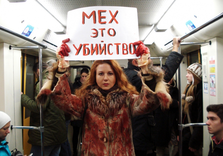 Николаевцев приглашают на акцию против убийства животных ради меха 