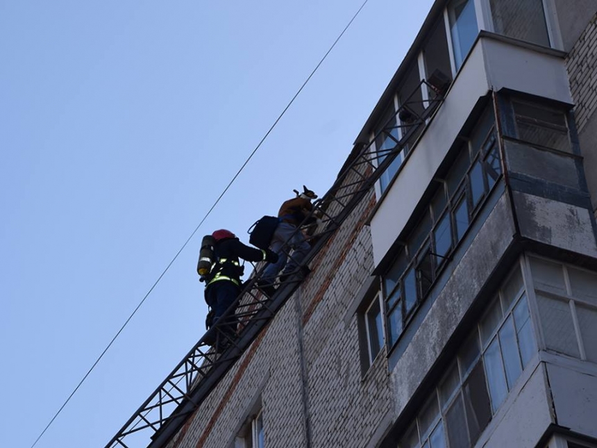 В Николаеве парень спускался по пожарной лестнице с девятого этажа с собакой. ВИДЕО