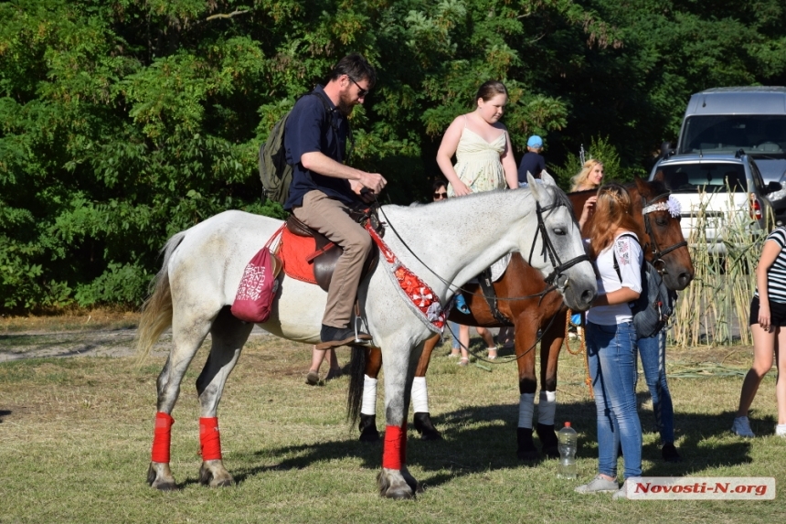В Николаевской конно-спортивной школе собираются сдать 6 лошадей «на мясо» — директор базы отрицает