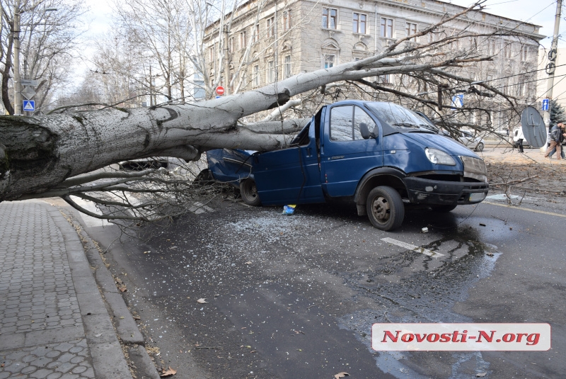 Тополь упал на машину