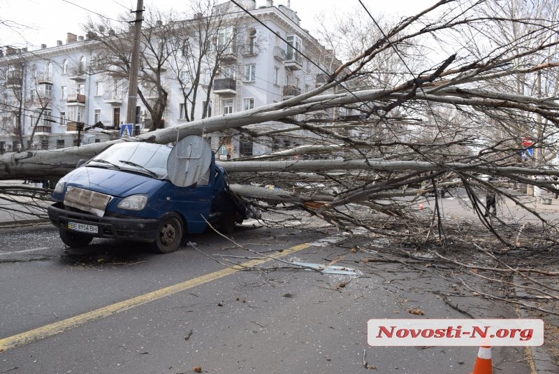 Из-за упавшего в центре Николаева дерева изменено движение троллейбусов