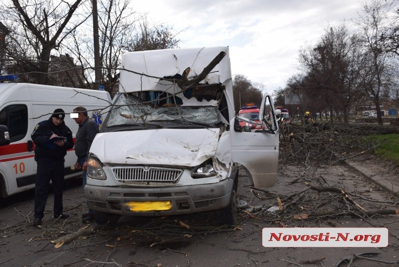 Полиция расследует падение дерева на маршрутку в Николаеве