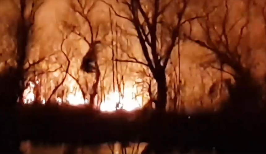 В Одессе горел национальный парк. ВИДЕО