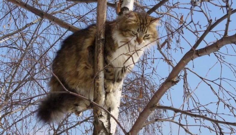 Завтра в Николаеве синоптики обещают сухую погоду и до +10°