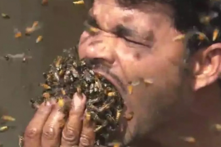 Индиец набил полный рот живыми пчелами. Видео