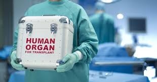 В Украине вступил в силу закон по правилам трансплантации органов до 2020 года