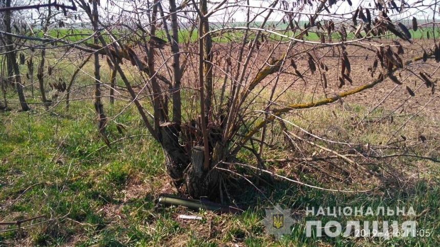 Житель Николаевщины нашёл в лесополосе противотанковую гранату