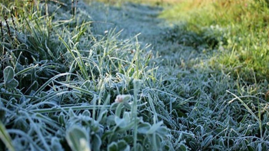 На почве заморозки, туман и без осадков: погода в Николаеве в среду