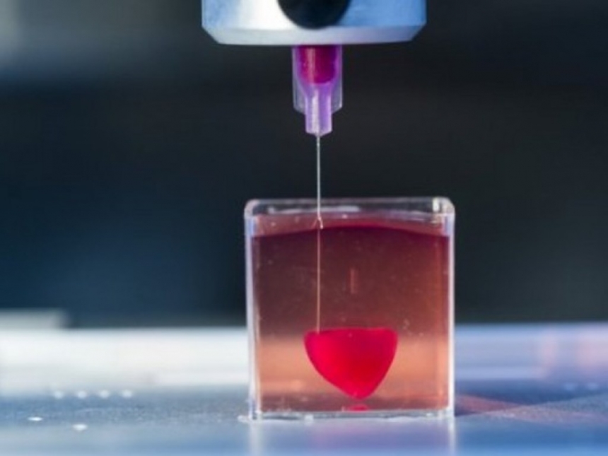 Израильским ученым удалось напечатать на 3D-принтере живое сердце