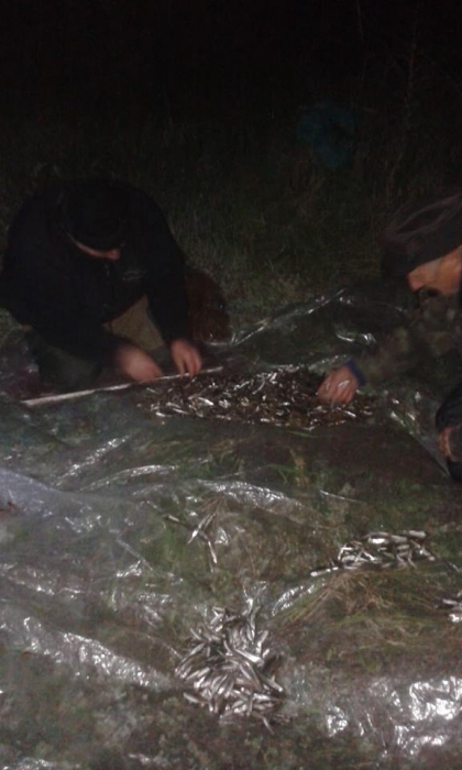 На Николаевщине поймали браконьера с креветочными сетями