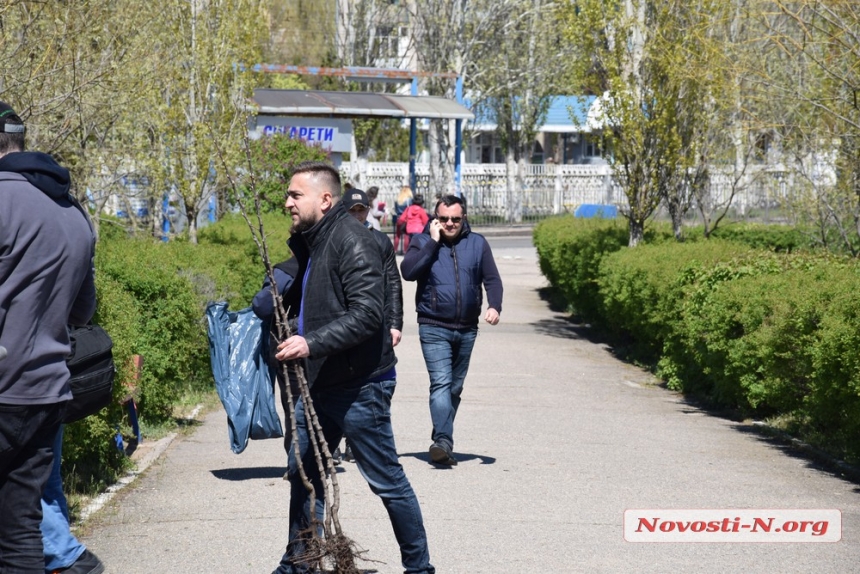 Студенты облагородили в Николаеве парк, а Сенкевич в белых перчатках посадил дерево